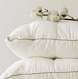 Bitte Alt-Text eintragen