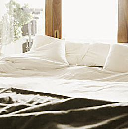 Bitte Alt-Text eintragen