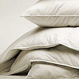 Bitte Alt-Text eintragen