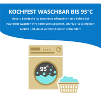 Schlafmond Medicus Clean Allergiker Winterdecke 155x220 cm